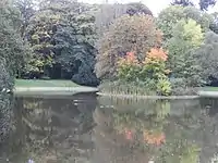 The pond