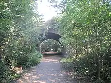  A Photograph of the Parkland Walk rail trail in London