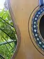 Rosette on Romantic guitar (1890s).