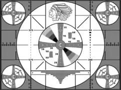 4:3 monochrome pattern resembling the RCA Indian-head extracted from a Philips PM5644 of likely European (PAL) origin.