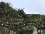 A bridge over a stream in Peace Valley of Mount Dongwu in Huitang Town.