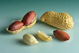 Peanuts in shell, shell cracked open, shelled, peeled