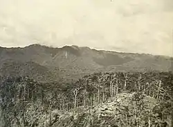 Aerial photograph of a battle scarred ridge amidst a jungle scene