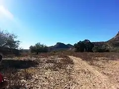 Hiking trail leading to the Indian Mesa (in the background). The hiking trail is located on a portion of a canal which the Hohokam built in 700 AD. The canal is now filled with soil.