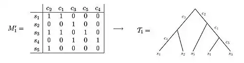 An example of a character matrix that can be depicted as a perfect phylogeny