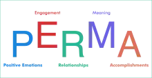  PERMA: Positive Emotions, Engagement, Relationships, Meaning and purpose, and Accomplishments.