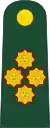 Army General