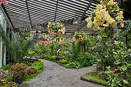 Lath house at the Peter Black Conservatory in New Zealand