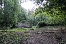 Ruins of the Roman temple at Petinesca outside Studen village