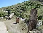 Parts of three petrified tree trunks