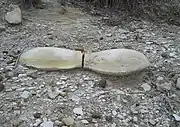 Limestone concretions prove the Fencepost bed is nearby