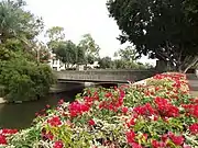 Arizona Biltmore Hotel bridge