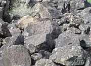 Hohokam Petroglyph.