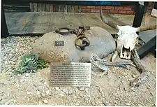 The Jail Rock. Jack Swilling, the founder of Phoenix, was named constable. This river rock was used as a temporary jail before the first wooden jail house was built. It served as a leg iron to shackle prisoners. On display in the Phoenix Police Museum.