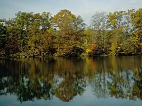 Trees with red, orange, and yellow leaves reflected in a lake