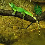 At Zoo d'Amnéville