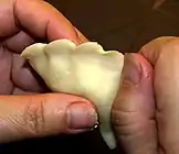 Sealing the pierogi