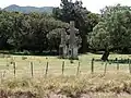 The remains of a building at the Pigeon Bush station site. Was one of four houses for railway staff.