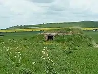 Pillbox between Stanton St Bernard and Alton Barnes