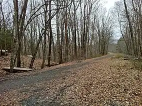 A trail intersection with bare trees and dead leaves.