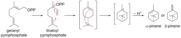 Biosynthesis of pinene from geranyl pyrophosphate