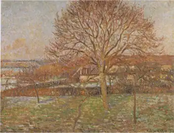 Large Walnut Tree, Hoarfrost in the Sun, 1894