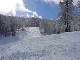 Ski run