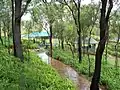 Playground and shelter shed at Ironbark Gully, Lake Awoonga