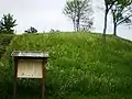 Plinkaigalis hillfort