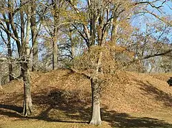 Pocahontas Mounds