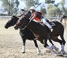 Polocrosse