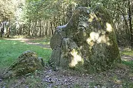 Menhir of Dames de Pierre