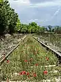 Abandoned rail line to the west of Ponte d'Arbia