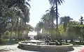 Central alley of palm trees and fountain in the foreground