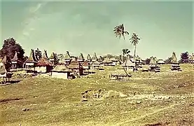 Tutuala village in 1966.