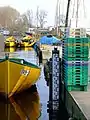 Trzebież, Fish Harbor