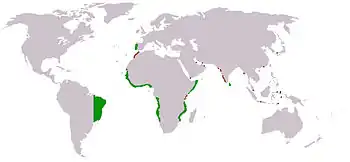 Image 25Portuguese colonies and posts under the reign of João III, 16th century. (from History of Senegal)