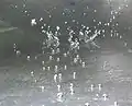 A drop of water hitting a wet metal surface and ejecting more droplets, which become water globules and skim across the surface of the water