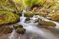 Kroparica Creek near Kropa