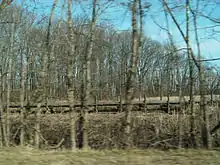 Portion of the Potomac Heritage Trail as it passes through marshland near Belle Haven