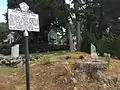 After the Pow-Wow Oak was taken down - sign, monument and stump