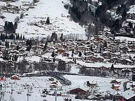 A general view of Praz-sur-Arly