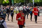 A colonel wearing full dress uniform at the Lying in State of Queen Elizabeth II (2022).