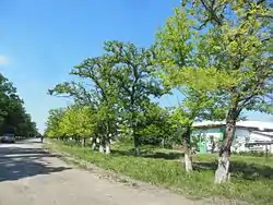 Village (selo) Prudy, Sovetsky District