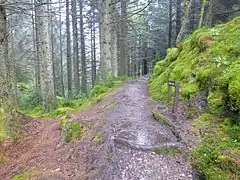 Connection to the top of the Black Gates Trail.