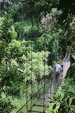 Simple suspension bridge over the Tanamá River