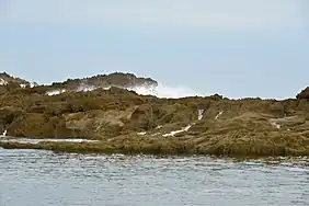 Limestone rock in Mar Bella Beach (Puerto Nuevo Beach).