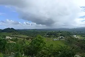 View of Vega Baja in Pugnado Adentro.