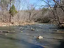 Photograph of a tree-lined river with rocks and logs in the water.