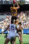 Paul Puopolo of Hawthorn taking a spectacular mark in 2017.